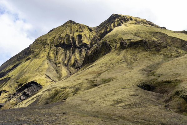 Wie kann man den Cholesterinspiegel auf natürliche Weise senken?